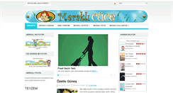 Desktop Screenshot of meraklicuce.annemingunlugu.com